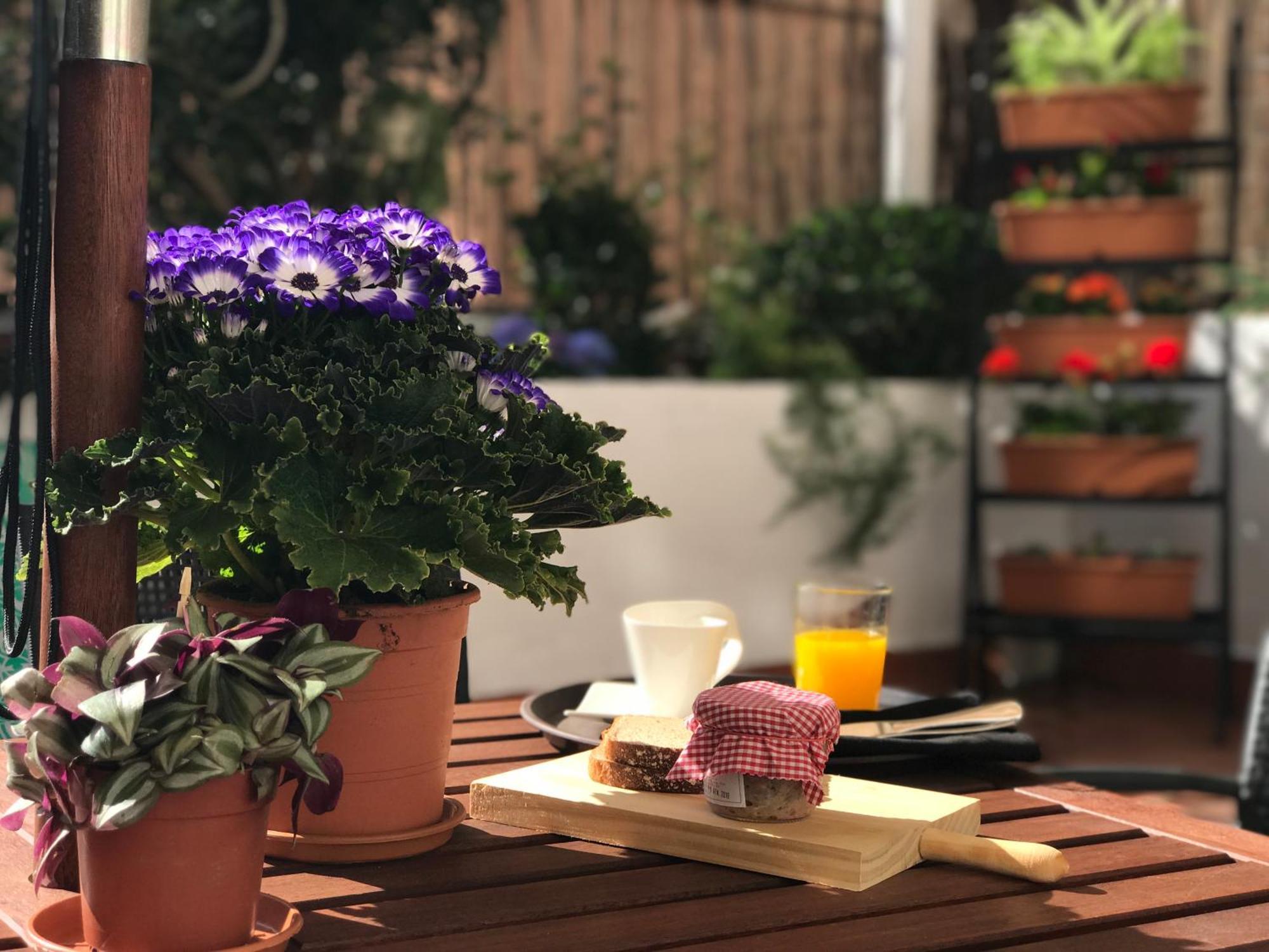 Appartement Eixample Modernista *